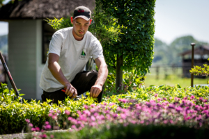 Hoveniers bedrijf brand, tuinontwerp, tuinaanleg, tuinonderhoud, bestrating.